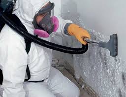 Why You Should Choose Our Mold Remediation Services in Chickamauga, GA